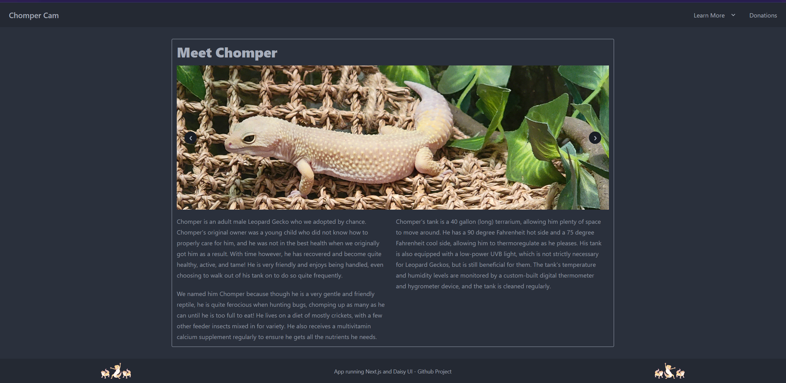a test image - 200px